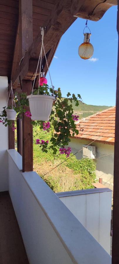 Arts Guest House -Beautiful Villa For 6 Persons فيليكو ترنوفو المظهر الخارجي الصورة